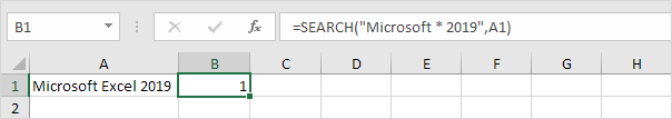 Search Function with Asterisk